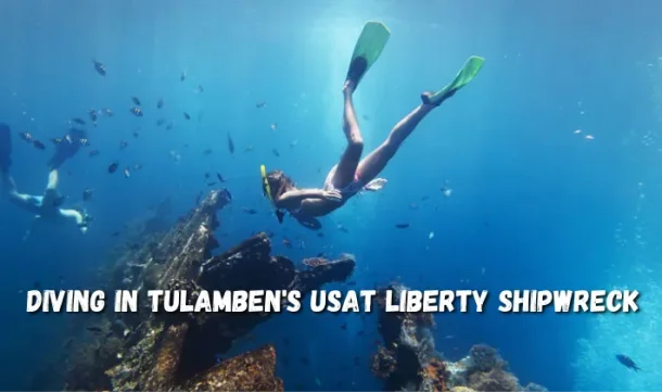 Free divers encircle the Liberty Shipwreck